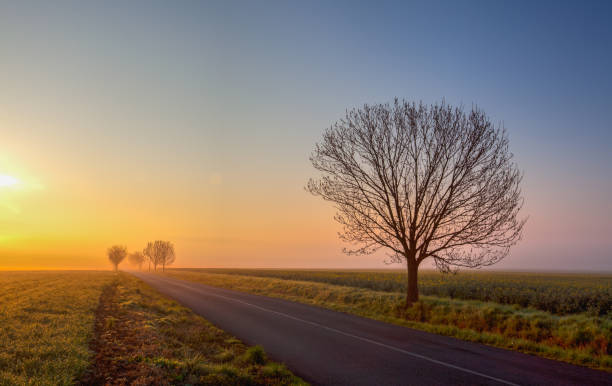 istock On the road to the morning mist. 1406029327