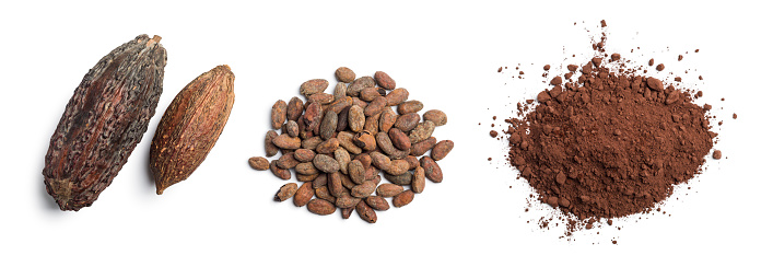 Cocoa pods, beans and powder on a white background. Flat lay food concept.