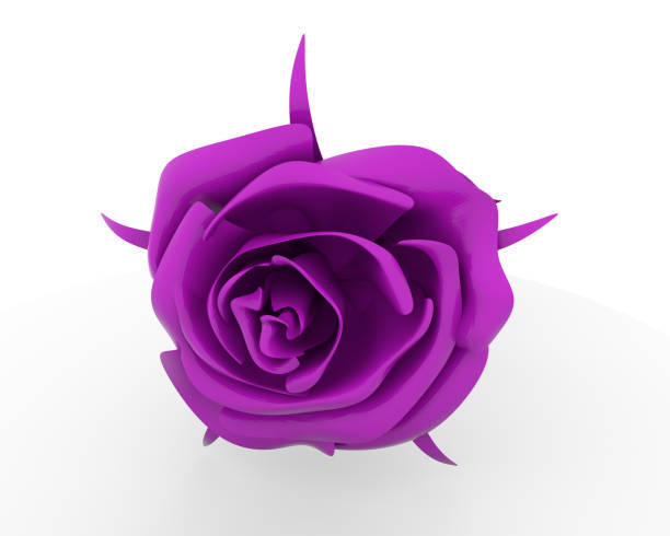 istock this is a rose in the colour red 1406031638