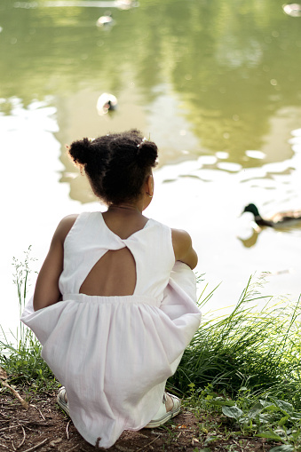A cute African-American girl in a summer dress feeds ducks on a lake on a summer day,view behind.Summer,diversity concept.