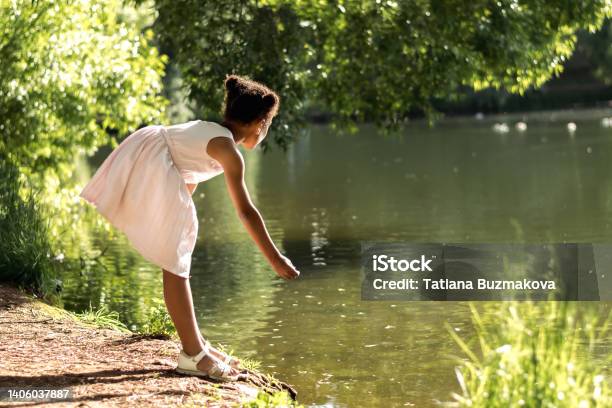 A cute African-American girl in a summer dress feeds birds on a lake on a summer day.Summer,diversity concept.