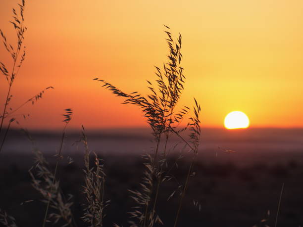 Sunrise on Lachish hill in Israel stock photo