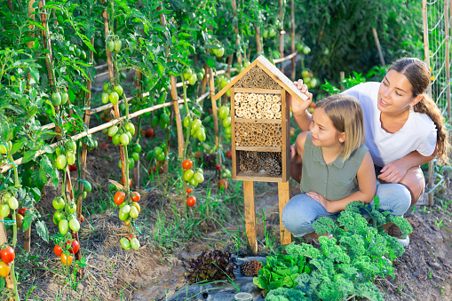 Woman and her daughter sitting beside bug hotel in garden