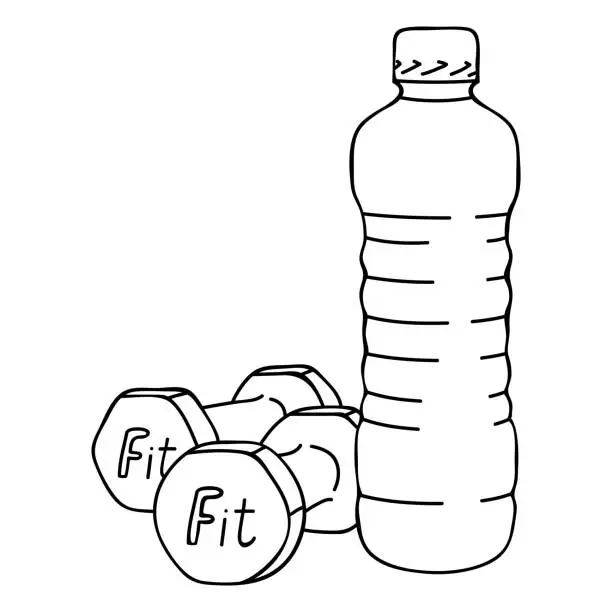 Vector illustration of Sketch of two dumbbells and bottle of water. Equipment for training and exercises for weight loss. Gym or home fitness concept. Vector