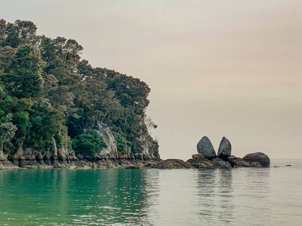 Toka Ngawhā / Split Apple Rock in Abel Tasman National park, Kaiteriteri, New Zealand Kaiteriteri, New Zealand. tasman sea stock pictures, royalty-free photos & images