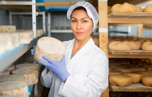 istock Skilled woman controlling maturing process of cheese wheels 1406042116