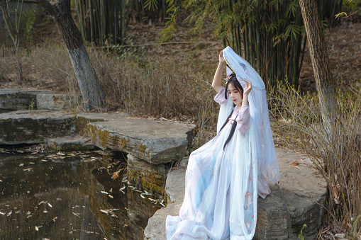 Hanfu beauty in bamboo forest
