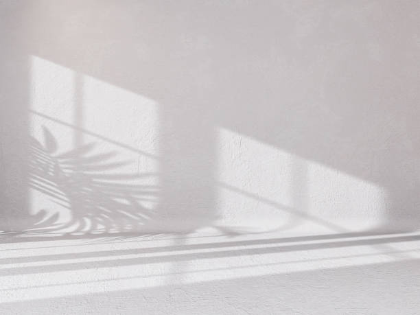istock Abstract white studio background for product presentation empty room with shadows of window and flowers and palm leaves 3d room with copy space summer concert blurred backdrop. 1406044907