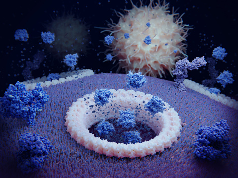 Pyroptosis: the cytokines IL1ß and IL18 are released through gasdermin D pores and attract immune cells. The pyroptotic cell looses cell substances leading to lytic cell death. The pyroptotic cell is a T-cell.  The foreground membrane proteins (dark blue) are T-cell receptors. The background membrane proteins are CD4 molecules.