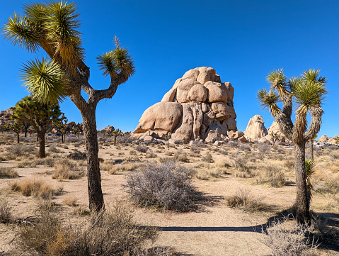 Boulders and desert in Joshua Tree National Park  near Desert Hot Springs and Indio California