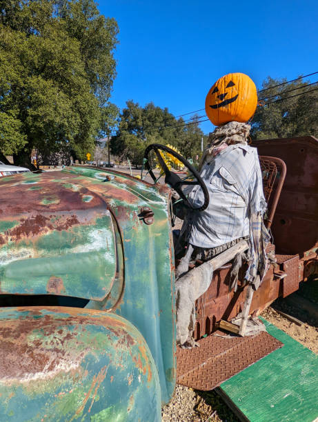 Junked old pickup and  antiques including a Halloween pumpkin head among plants in Southern California near Julian and Escondido Junked old pickup and  antiques including a Halloween pumpkin head among plants in Southern California near Julian and Escondido julian california stock pictures, royalty-free photos & images