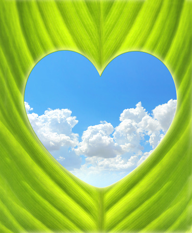 Heart-shaped hole in green leaf and blue sky with clouds. Go green. Ecology, global ecological resource, eco and zero waste concept