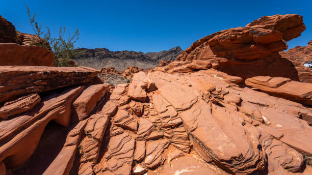 istock Valley of Fire landscapes 1406055560