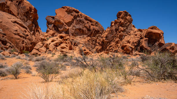 istock Valley of Fire landscapes 1406055972