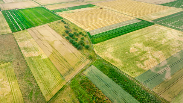 istock Agricultural fields, farmland - aerial view 1406058836