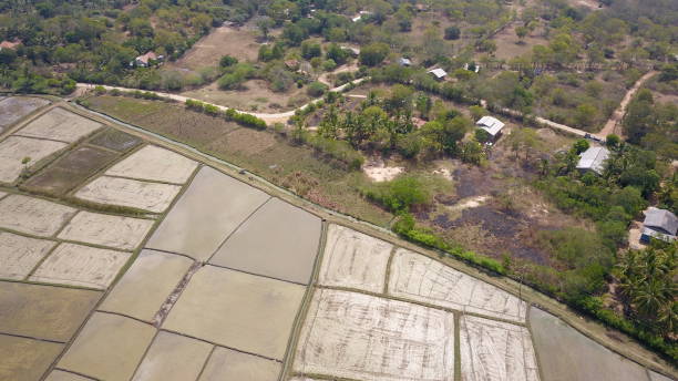 istock Rice paddy fields being prepared for the new season 1406059550
