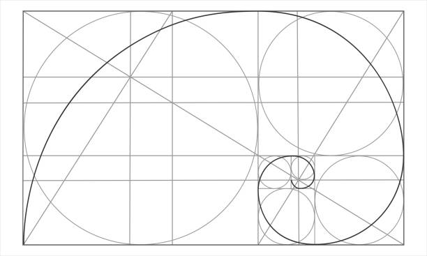 vorlage für den goldenen schnitt. logarithmische spirale im rechteck mit kreisen und sich kreuzenden linien. nautilus schalenform. fibonacci-sequenz. ideale symmetrieproportionen raster - dividieren grafiken stock-grafiken, -clipart, -cartoons und -symbole