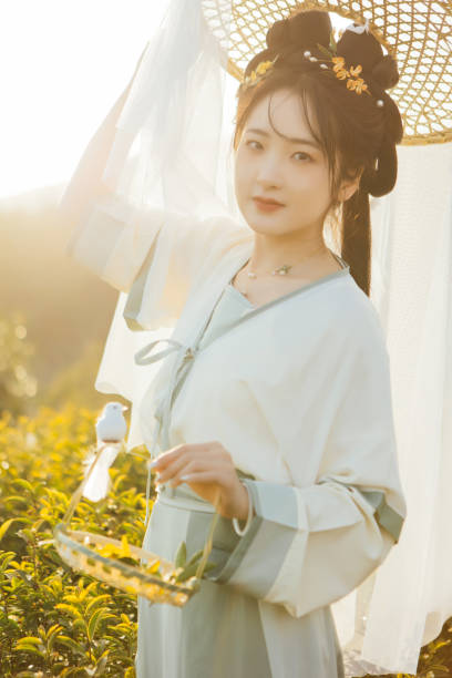 istock Hanfu beauties picking tea at sunset 1406059641