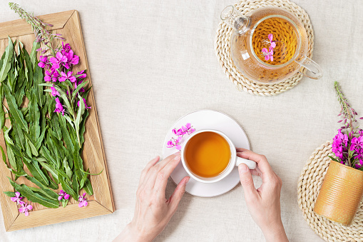Woman hands holding Herbal tea from kipreya leaves in cups on fabric table background, fireweed green leaf and flower on wooden tray. Flavored herbal tea from natural wild plants, healing hot beverage