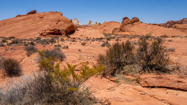 istock Valley of Fire landscapes 1406060081