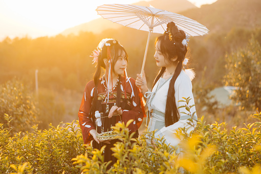 Two beauties are picking tea and having fun in the tea mountain at sunset