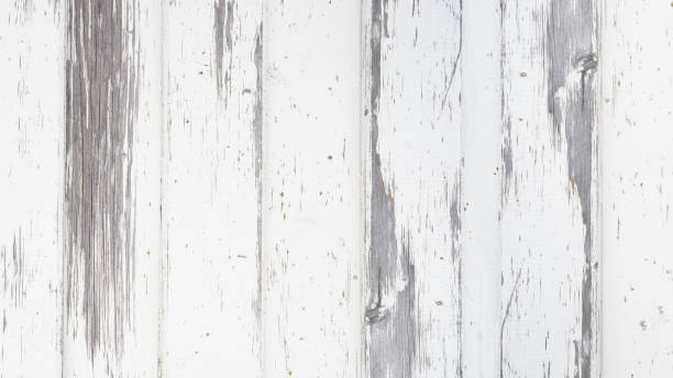 istock old white painted exfoliate rustic bright light wooden texture - wood background shabby 1406064164