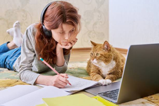 istock Preteen girl studying at home with ginger cat using laptop 1406065111