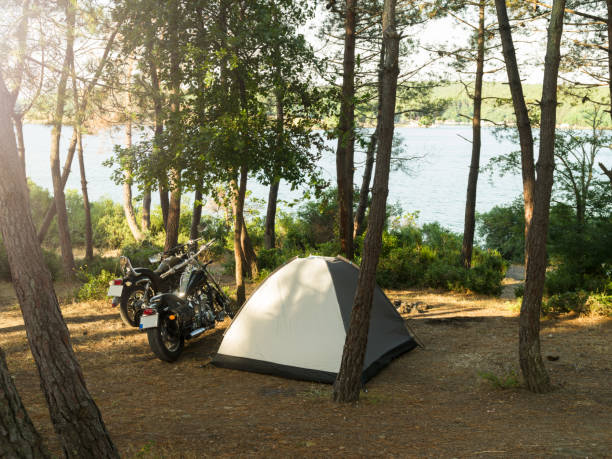 istock Camping in the forest by the sea 1406069588