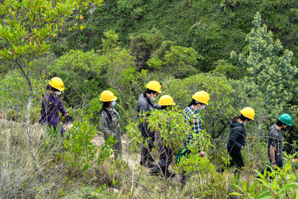 istock Young miners descending a small hill. 1406073855