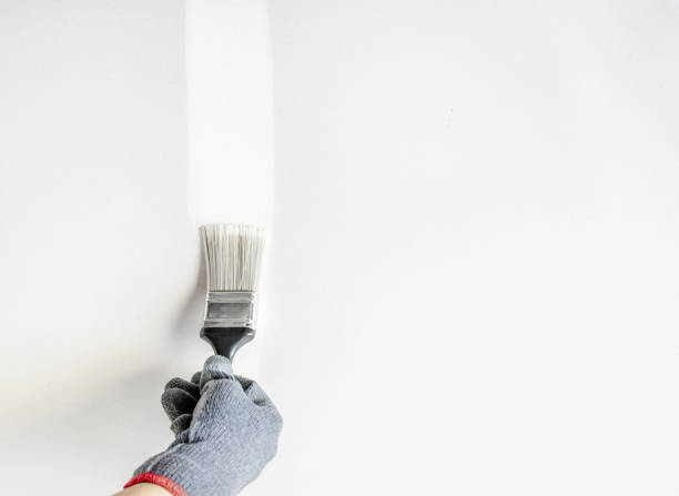 Painter paint white color on grey wall. Professional painter's hand in grey glove paint white color on blank space wall. DIY renovation project of an interior house, the person using a paintbrush on the wood drywall surface. Minimal decoration concept. painted drywall texture stock pictures, royalty-free photos & images