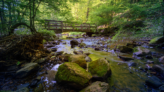 New Jersey State Park photo