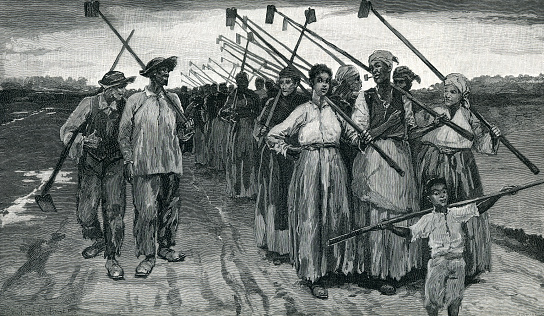 Slaves walking with garden tools. Racist illustration from 19th Century, showing captives enjoying their life as opposed to true reality of life on the Plantation.