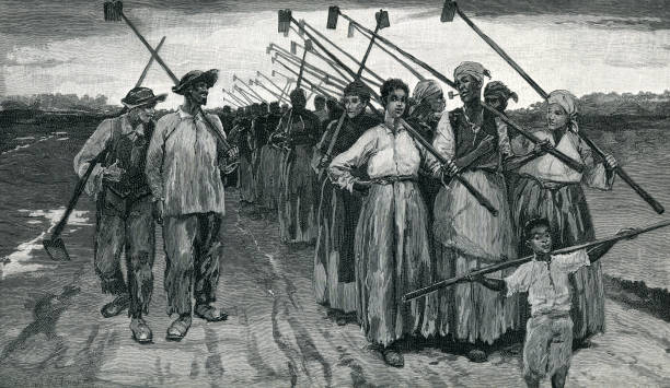 Louisianna Plantation slaves in Twilight illustration in 19th century Slaves walking with garden tools. Racist illustration from 19th Century, showing captives enjoying their life as opposed to true reality of life on the Plantation. plantation stock illustrations