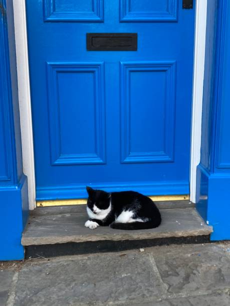 istock Blue Door Staithes 1406083283