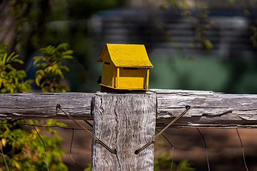 A cute little yellow house letterbox on a wooden fence with blurred background.