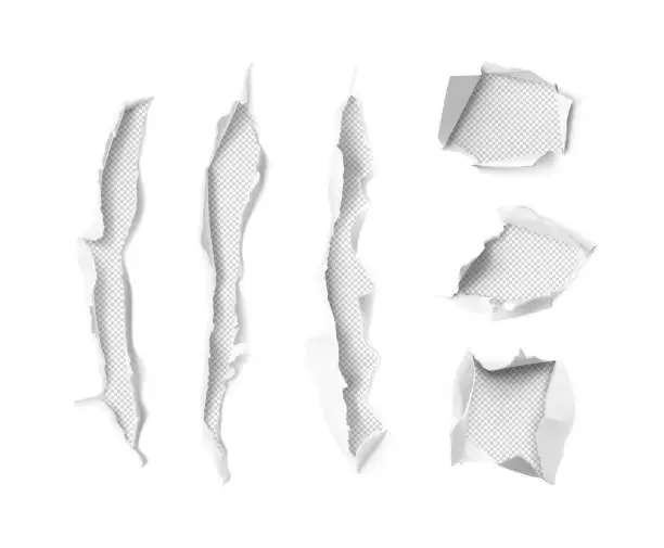 Vector illustration of Set of realistic scratch claws and holes isolated on white background.