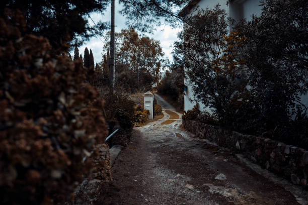 Creepy horror, wide angle, deep focus rose garden road with dark bushes. Set in the mountains of Mijas in Spain