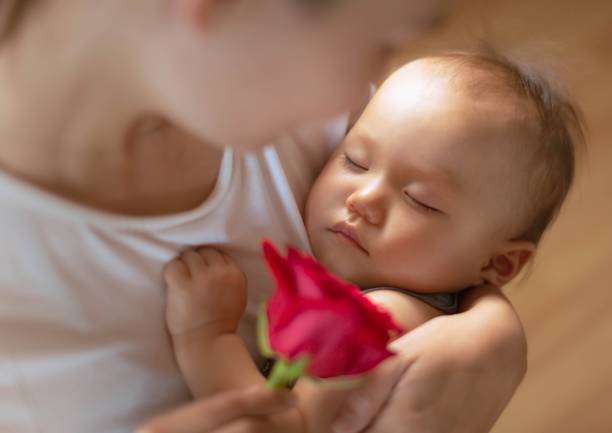 muttertag. eine mutter, die ihr baby mit einem roten rosengeschenk hält. - mothers day mother single flower family stock-fotos und bilder