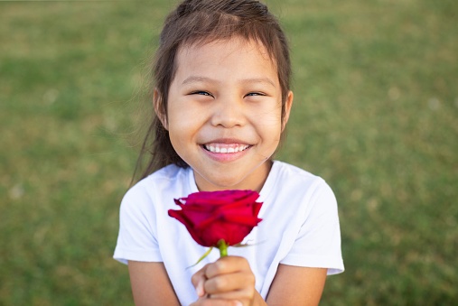 Portrait of a little girl holding a red rose for her mother, smiling. Mohter's day.