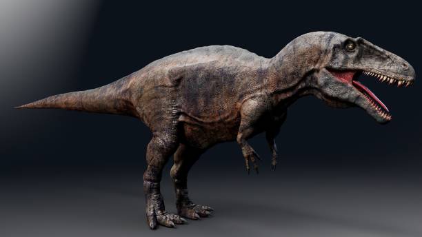 istock Acrocanthosaurus dinosaur , of background. 3d rendering 1406092990