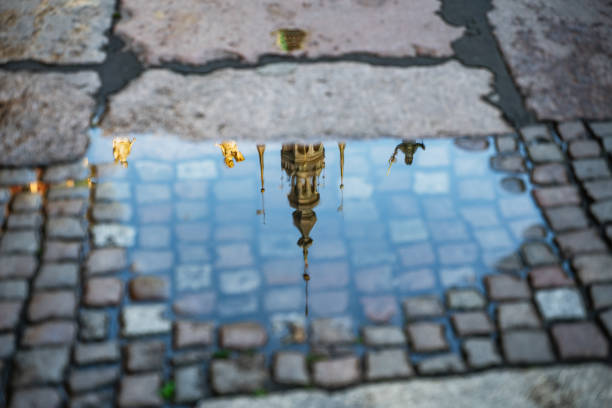 This photo was taken at the summer in Poland
