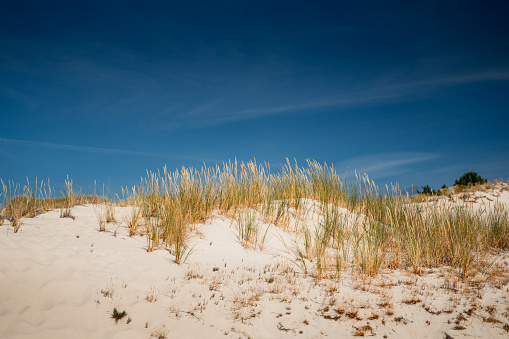 Photo from the summer time on coast of baltic sea in Poland