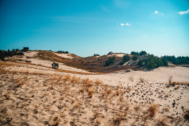 istock Leba sand dunes in Poland. 1406098696