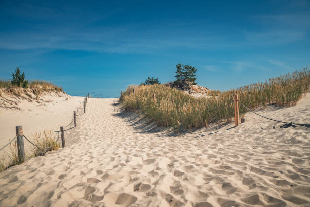 Photo from the summer time on coast of baltic sea in Poland