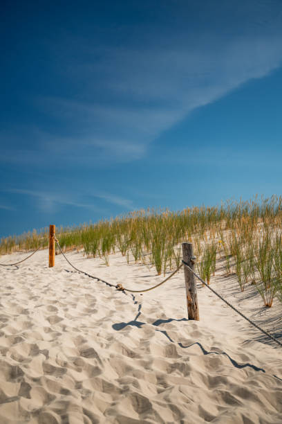 Photo from the summer time on coast of baltic sea in Poland