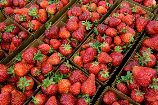 Close-up of organic strawberries for sale at outdoor farmer's market.

Taken in Santa Cruz, California, USA.