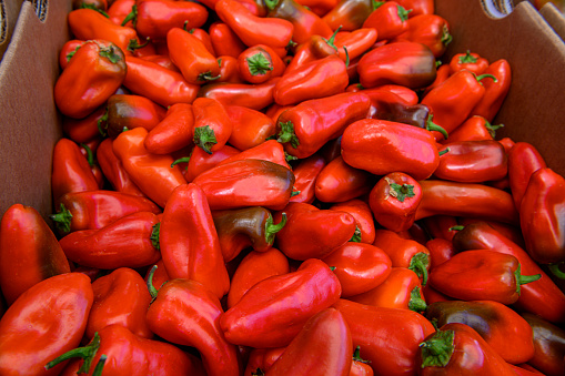 Close-up of organic Peppers in a cardboard market box, where customers van select what is wanted for purchase.\n\nTaken in the Santa Cruz, California, USA.