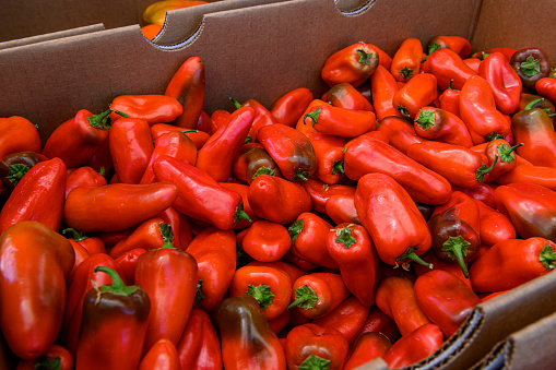 Close-up of organic Peppers in a cardboard market box, where customers van select what is wanted for purchase.

Taken in the Santa Cruz, California, USA.