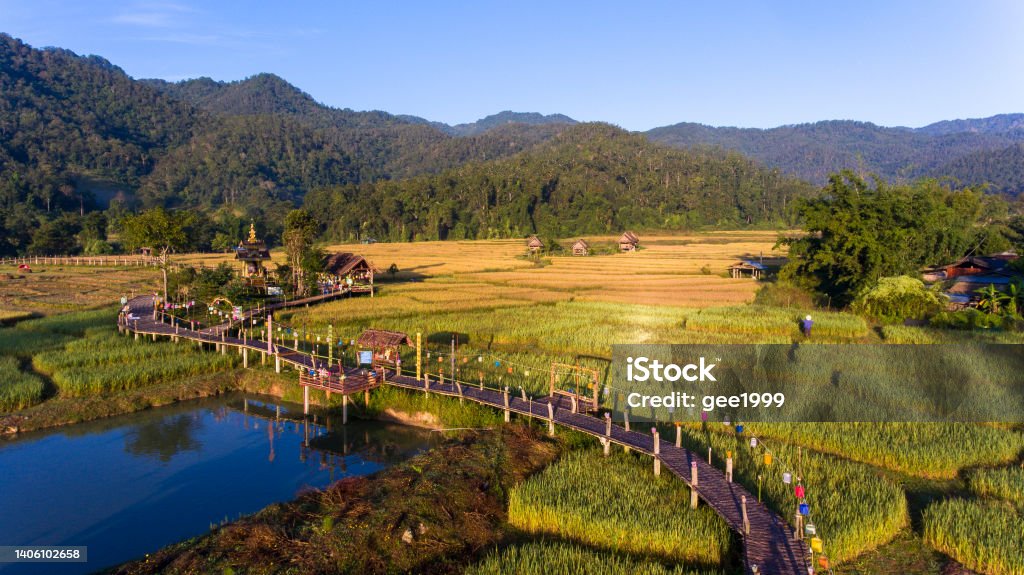 Boon Kho Koo So Bridge aerial photograph drone beautiful mountain scenery and bamboo bridge (Bun bridge or caucus) over the rice fields in the golden yellow nature outdoors in the valley. Travel in Pai, Mae Hong Son, Thailand Mae Hong Son Province Stock Photo