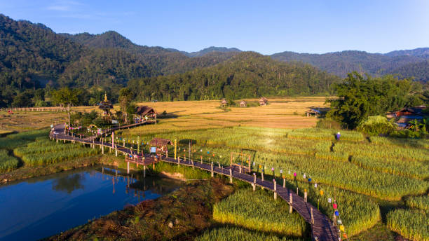 мост бун хо ку со - mae hong son province стоковые фото и изображения